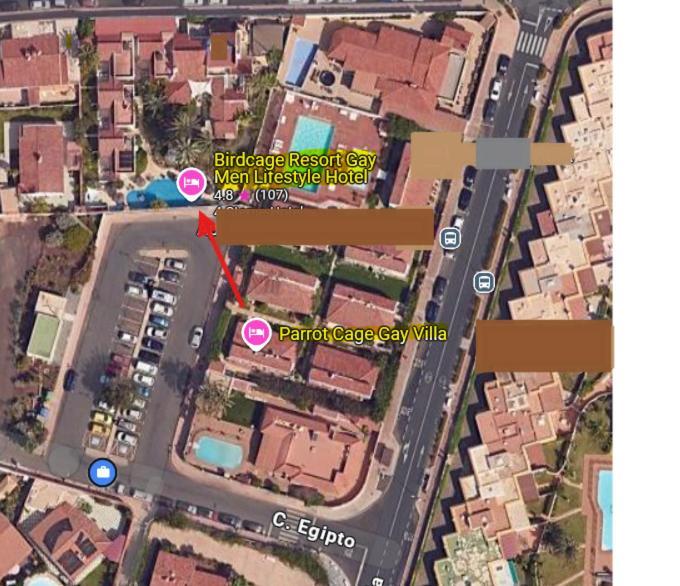 Birdcage Gay Men Resort&lifestyle Playa del Inglés